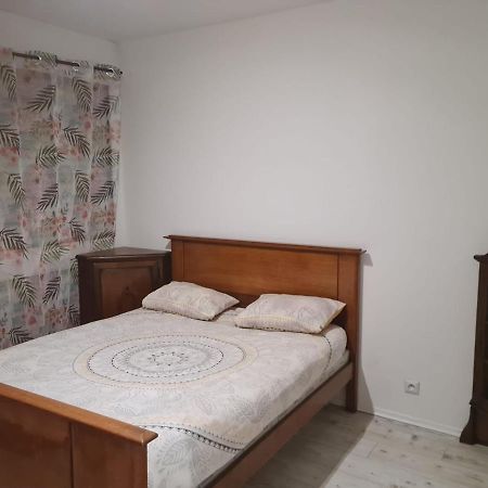 Chez Bernadette Apartment Vandoeuvre-lès-Nancy Екстериор снимка