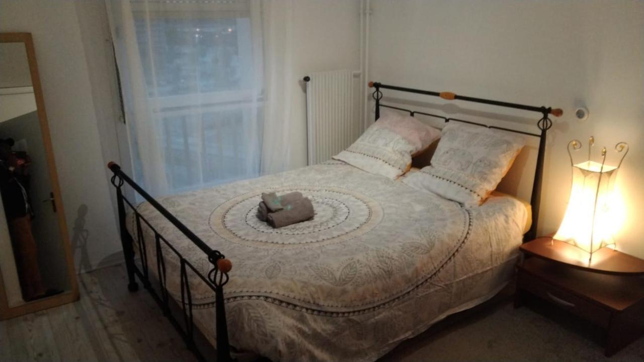 Chez Bernadette Apartment Vandoeuvre-lès-Nancy Екстериор снимка